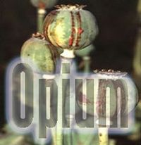ópium sa získava z makovíc